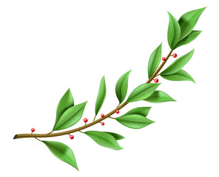 Tree twig laurel wreath with green leavesのイラスト素材