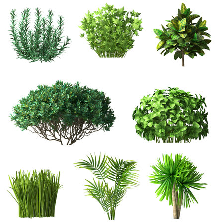 Set of plants and shrubs isolatesの写真素材