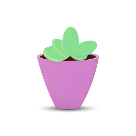 Indoor plant icon, flat design template, isolated houseplant symbol, vector illustrationのイラスト素材
