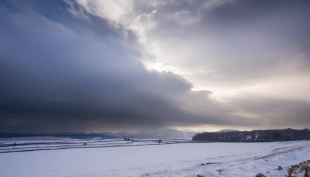 Winter landscape with snow-covered fields and a cloudy sky in the backgroundの素材