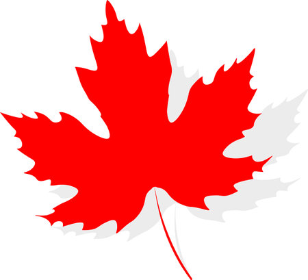 Maple leaf on a white background. Vector illustration. Eps 10の写真素材