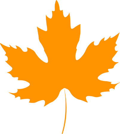 Maple leaf isolated on white background. Vector illustration. Eps 10の写真素材
