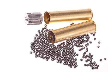 bullet, buckshot and brass shell casings on a white background