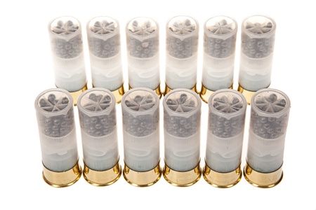 hunting cartridges on a white background