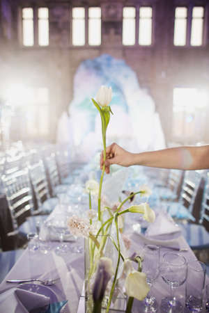 Wedding Decorの写真素材