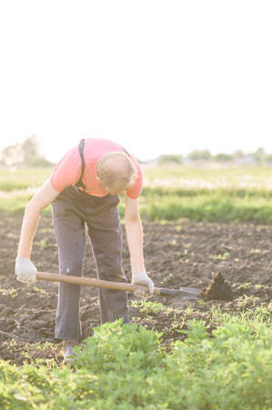 gardener plants vegetables.Man making a hole to plant flowers in the garden.の写真素材