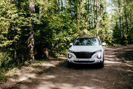 Speed. Car driving on forest road. white suvの写真素材