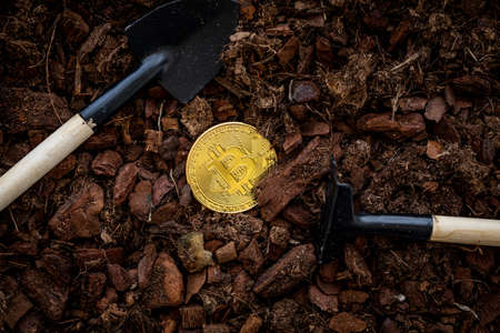 Mining Golden Bitcoin. Investment And Interest Concept. Photo Golden Bitcoinsの写真素材