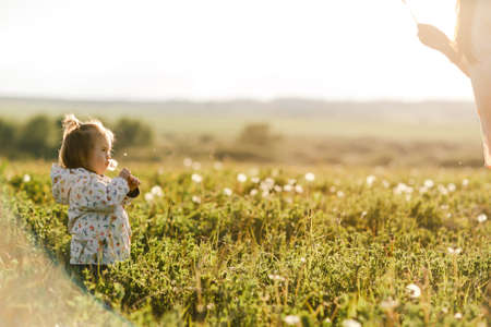Portrait of a cute little girl in sunny summer day at green nature background. Summer joy - lovely girl blowing dandelionの写真素材