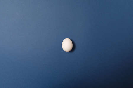 Single white egg on blue background