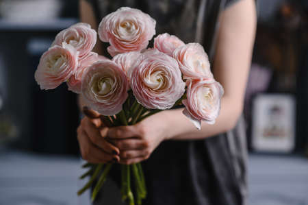 Persian buttercup. Bunch pale pink ranunculus flowersの写真素材