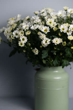 beautiful spring bouquet of chrysanthemums. Copy space. の写真素材