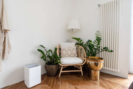Interior of modern flat, Living room with white table, mirror.の写真素材