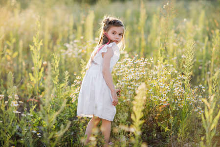 Little girl in flower fields, Outdoor portrait. field with daisiesの写真素材