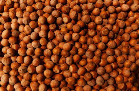 Hazelnuts. Food background, photo wallpaper