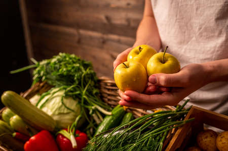 Organic vegetables. Farmers hands with freshly picked apples. Fresh organic apples. Fruits and vegetables marketの写真素材