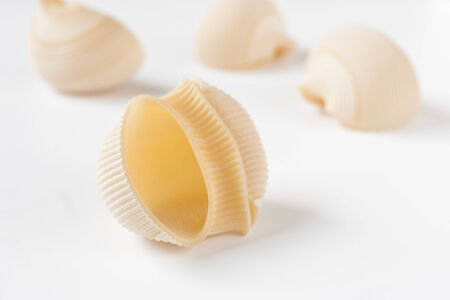 Lumaconi pasta on the white backgroundの写真素材