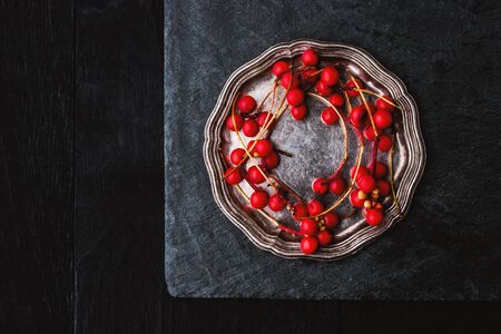 Red berries sprig in the vintage metal plate on the black stoneの写真素材