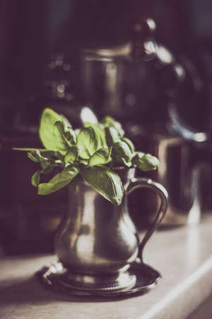 Green basil in the old metal jar with blurred pots and pansの写真素材