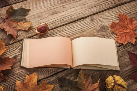 Open clear  vintage notebook surrounded by  maple leaves and chestnuts with film filter effect horizontalの写真素材