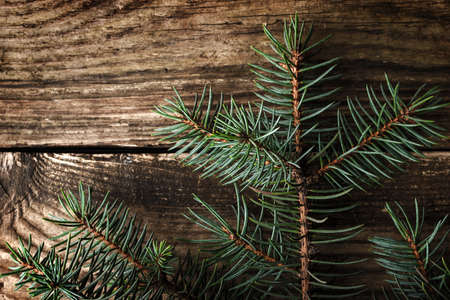 Christmas fir tree on the wooden backgroundの写真素材