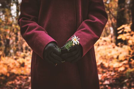 Woman with flower in the hand in the autumn forestの写真素材