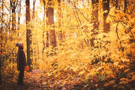 Woman with fallen leaves in the autumn forestの写真素材