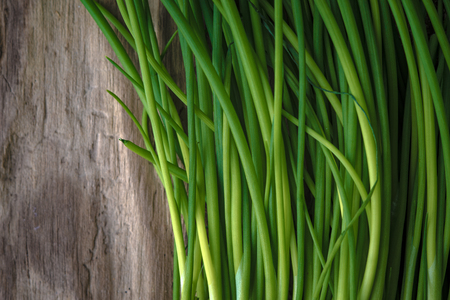 Green stalks of onions on a wooden table horizontalの写真素材