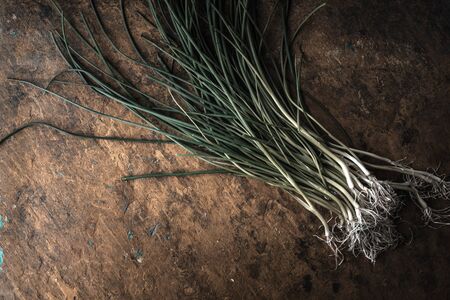 Green onion stalks and roots on the stone table horizontalの写真素材