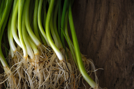 Green onion stalks and roots on a wooden table horizontalの写真素材