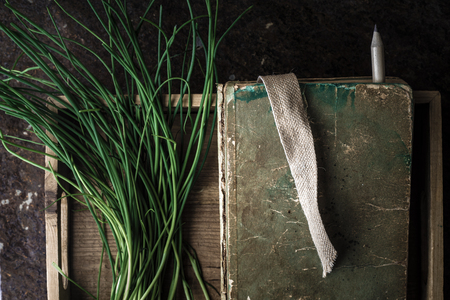 Green onion stalks and the book in a wooden box horizontalの写真素材