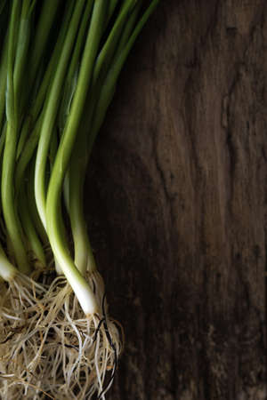 Green onion stalks and roots on a wooden table verticalの写真素材