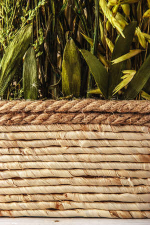 Wicker flower pot vertical