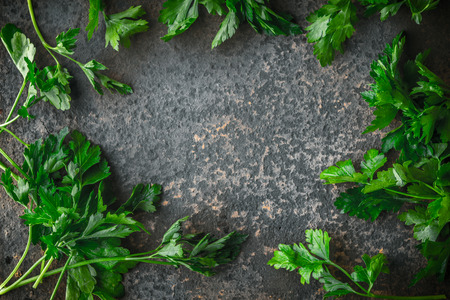 Herbs parsley on a gray slate horizontalの写真素材