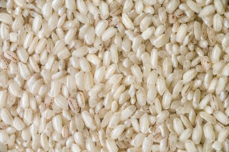 Background of major rice varieties Arborio horizontal