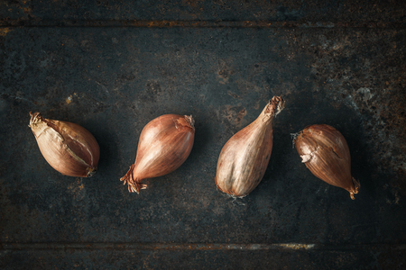 Shallots  on the  old metal backgroundの写真素材