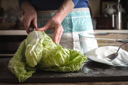 Woman cut Chinese cabbage to cook kimchi horizontalの写真素材