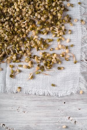 Germinated mung beans on a napkin on the left verticalの写真素材