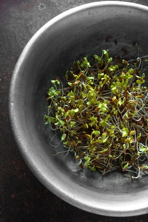 Flax sprouts in a bowl on a metal table closeupの写真素材