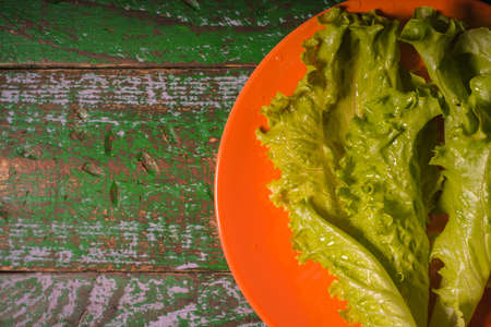 Fresh green salad leaf on green boardの写真素材