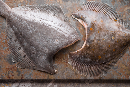 Raw flounders on the stone backgroundの写真素材