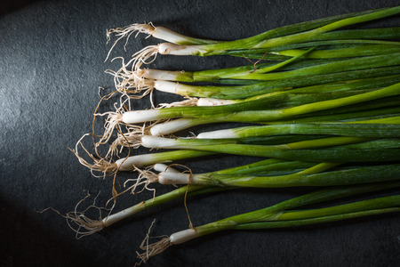 Harvest of green onions on a gray table horizontalの写真素材