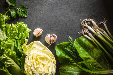 Iceberg lettuce, green onions and spinach and garlic on gray slate horizontalの写真素材