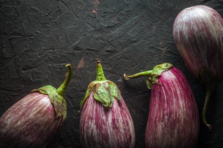 Eggplant in stripes on a dark gray backgroundの写真素材