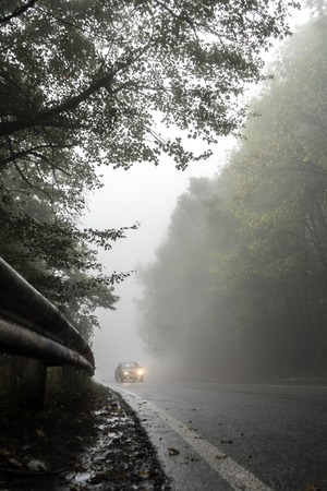 Car on a wet road in the forest, fence and roadsideの写真素材