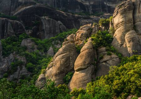 Green deciduous trees and mountain in Greece close upの写真素材