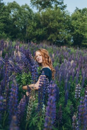 Red-haired women in blue dress with lupinesの写真素材