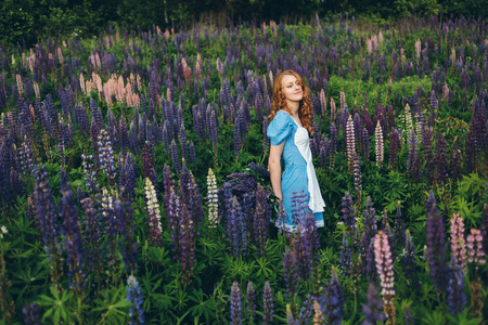 Red-haired women in blue dress with lupinesの写真素材