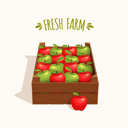 Wooden crate full of apples red and green. Vector illustrationのイラスト素材
