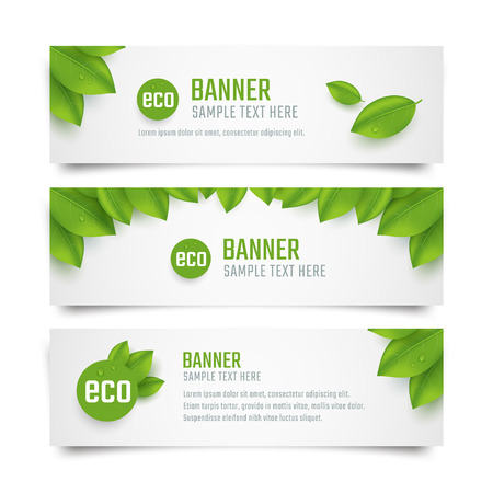 Set eco banners with fresh green leaves. Vector illustrationのイラスト素材